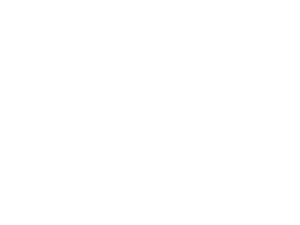 V.O.L.F.